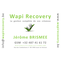 LogoWapiRecovery200