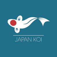japan-koi